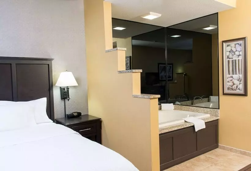 身障者適用スタンダードルーム, Hampton Inn Holland