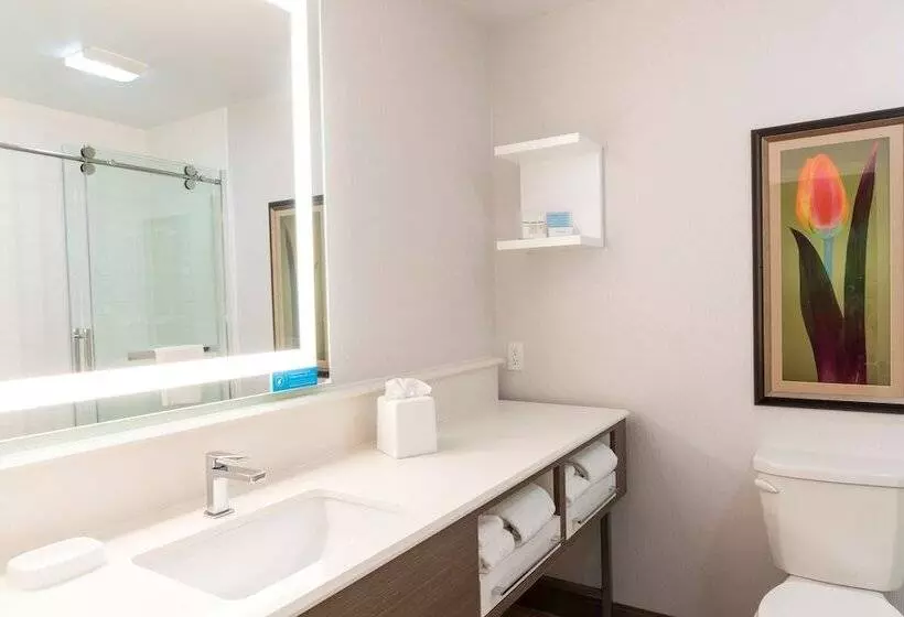 ２ダブルベッドのスタンダードルーム, Hampton Inn Holland