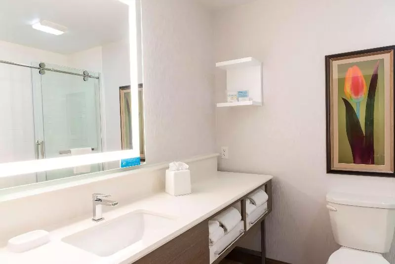 キングサイズベッドのスイートルーム, Hampton Inn Holland