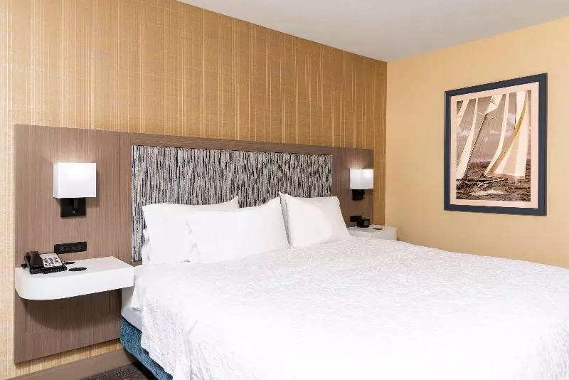 キングサイズベッドのスイートルーム, Hampton Inn Holland