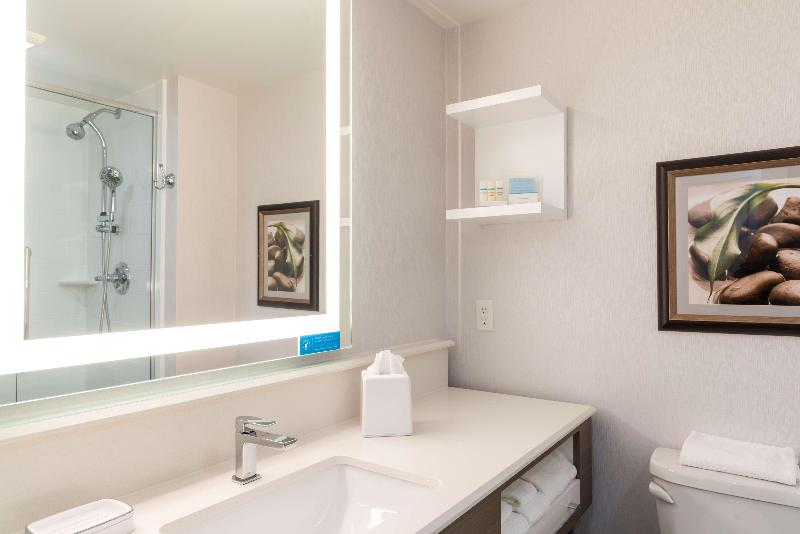 キングサイズベッドのスイートルーム, Hampton Inn Holland