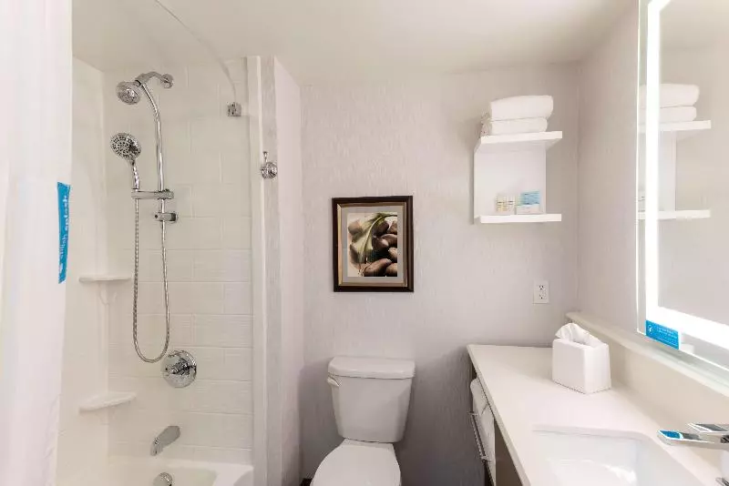 バルコニー付きスタンダードルーム, Hampton Inn Holland