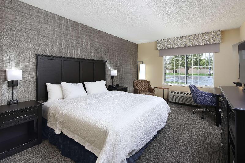 キングサイズベッドのスタンダードルーム, Hampton Inn Holland