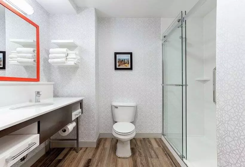 ２ダブルベッドのスタンダードルーム, Hampton Inn Kingsport