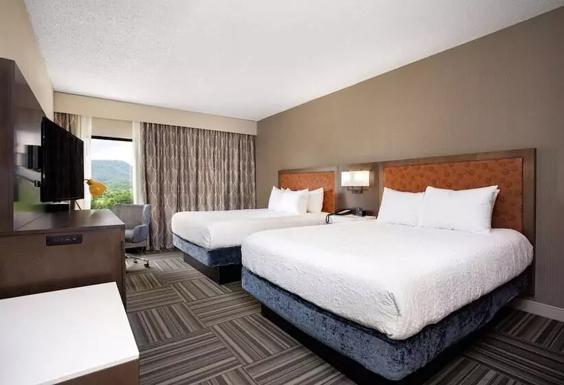 ２ダブルベッドのスタンダードルーム, Hampton Inn Kingsport