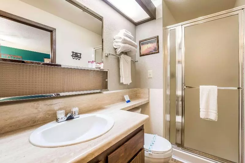 身障者適用キングサイズベッドルーム, Hampton Inn Kinston