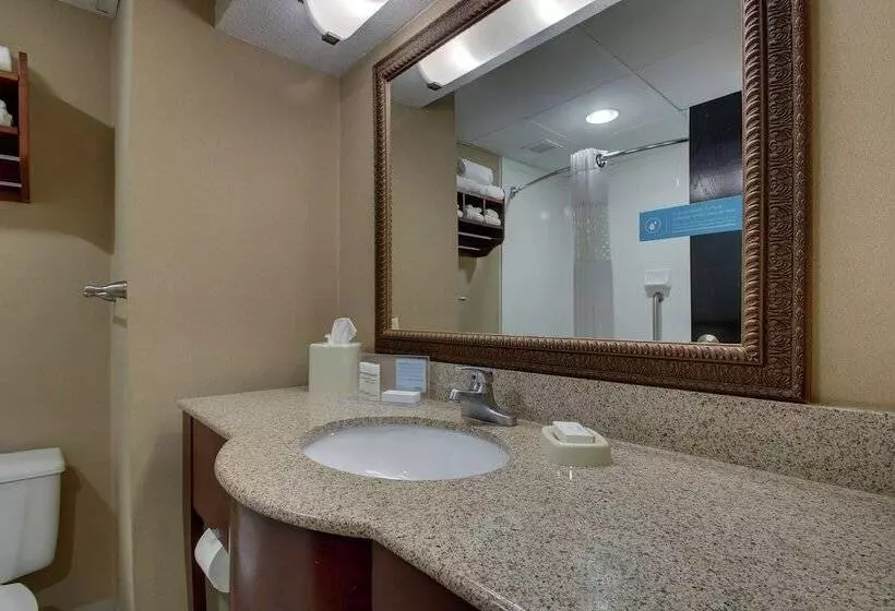 キングサイズベッドのスタンダードルーム, Hampton Inn Lebanon