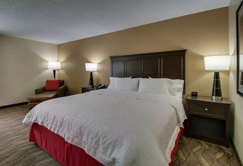 キングサイズベッドのスタンダードルーム, Hampton Inn Lebanon