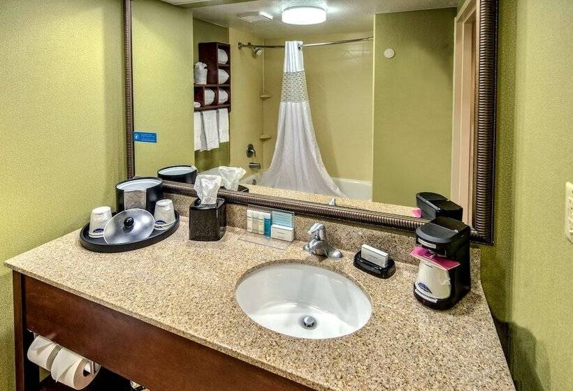 适合残疾人使用的标准间, Hampton Inn New Bern