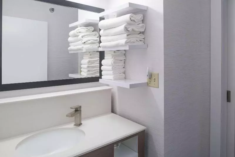 身障者適用キングサイズベッドルーム, Hampton Inn North Sioux City