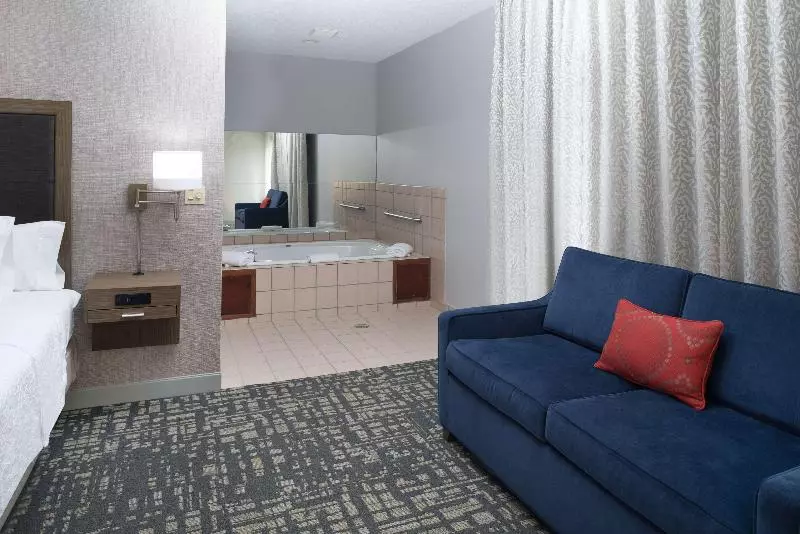 キングサイズベッドのスイートルーム, Hampton Inn North Sioux City