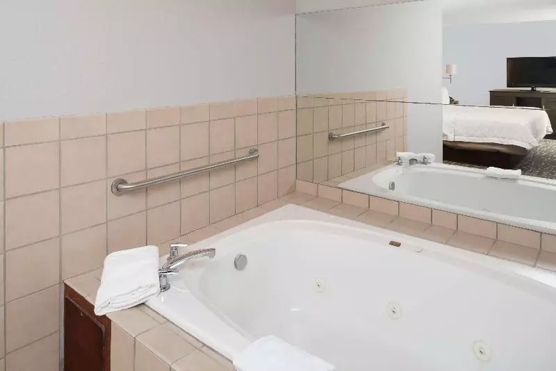 キングサイズベッドのスイートルーム, Hampton Inn North Sioux City