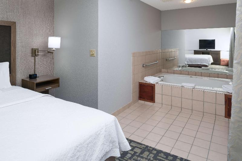 Люкс Кровать Кинг, Hampton Inn North Sioux City