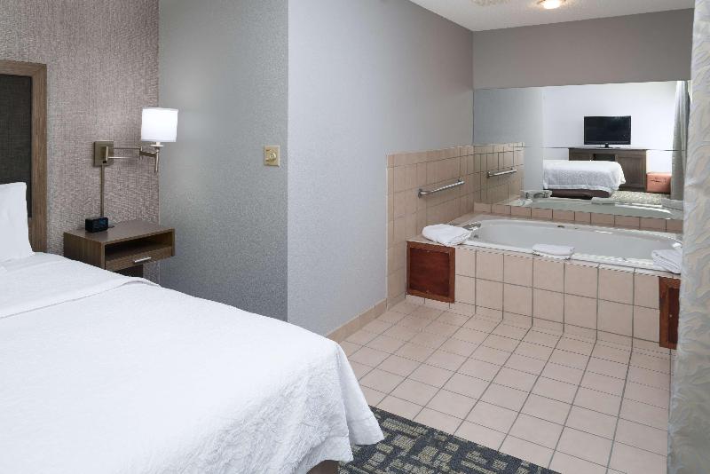 Люкс Кровать Кинг, Hampton Inn North Sioux City