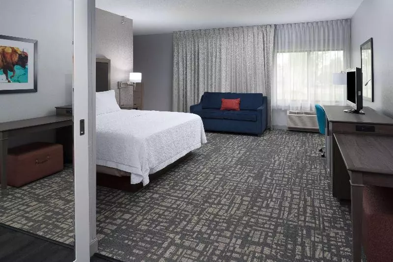キングサイズベッドのスイートルーム, Hampton Inn North Sioux City