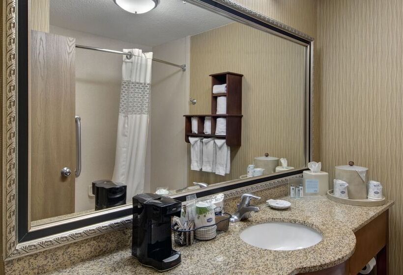 غرفه قياسيه سريرين مزدوجين, Hampton Inn Provo