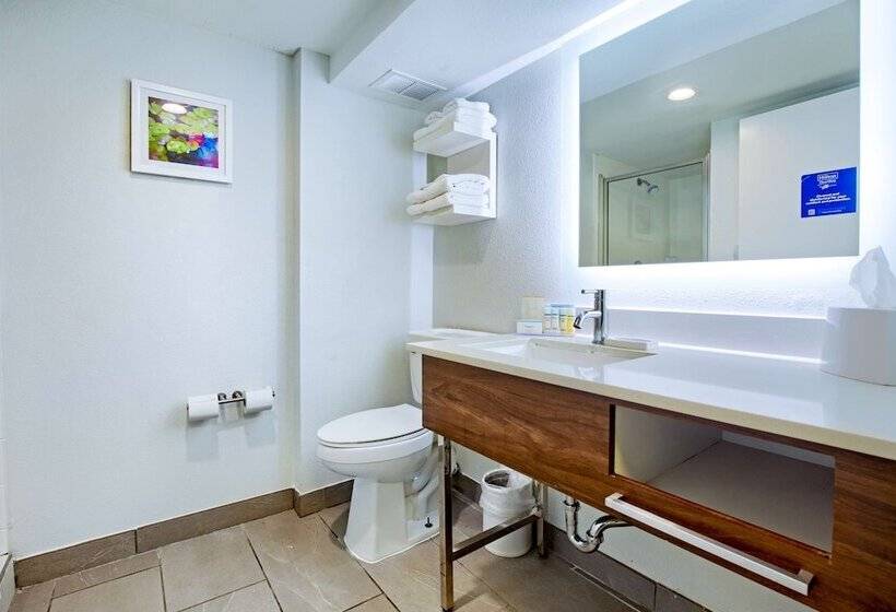Люкс, Hampton Inn Slidell