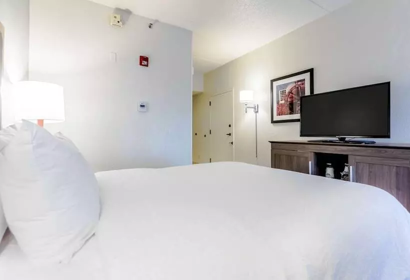 身障者適用スタンダードルーム, Hampton Inn St. Charles St. Peters
