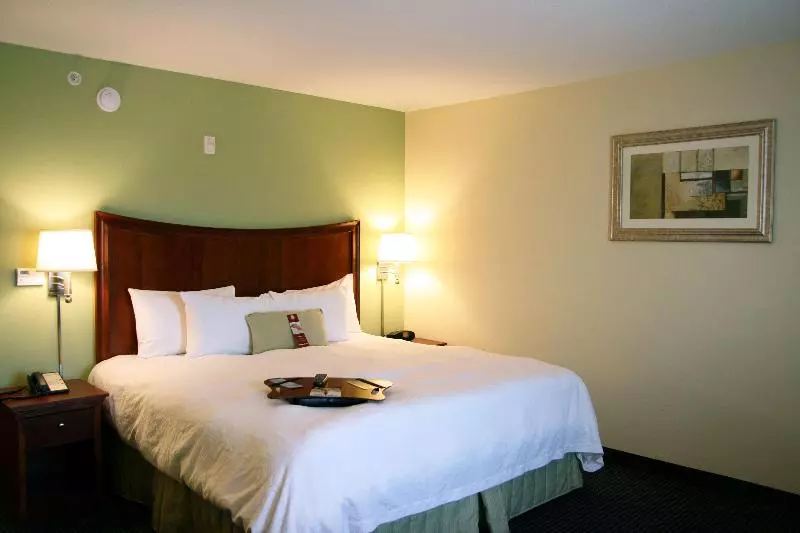 سوئیت با تخت بزرگ, Hampton Inn & Suites Ft. Lauderdale Arpt/south Cruise Port