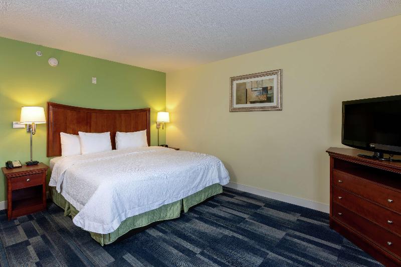 带大床的套房, Hampton Inn & Suites Ft. Lauderdale Arpt/south Cruise Port