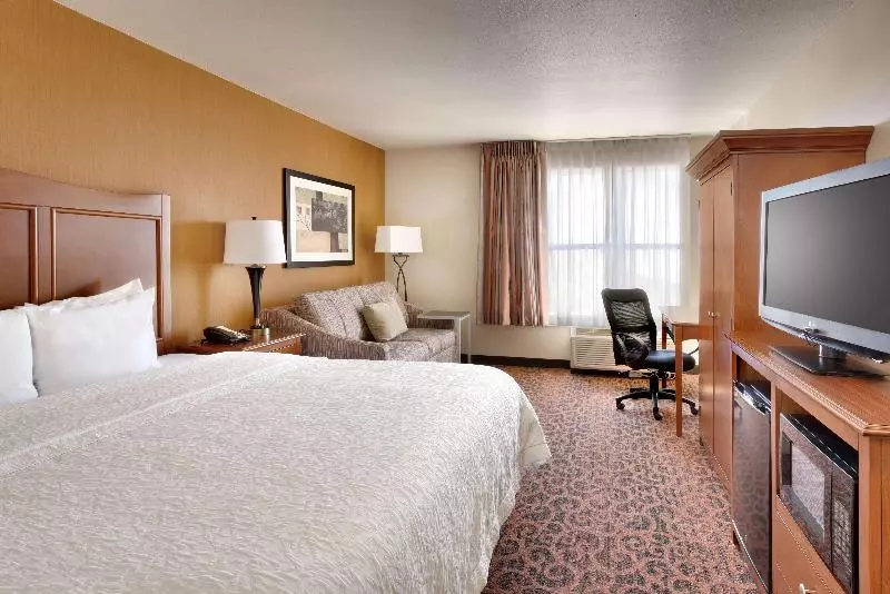 Standaard Studio met Kingsize Bed, Hampton Inn & Suites Orem