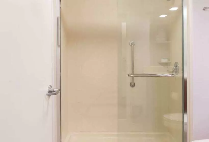 スイート, Hampton Inn & Suites Rochester/victor