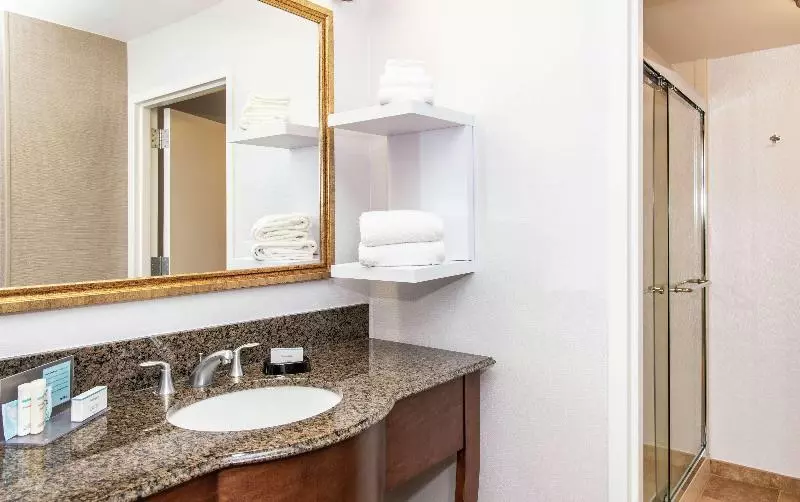 キングサイズベッドのスイートルーム, Hampton Inn & Suites Rochester/victor