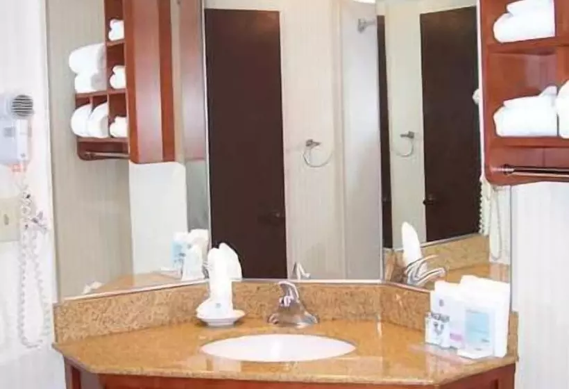 ２ダブルベッドのスタンダードルーム, Hampton Inn Washington