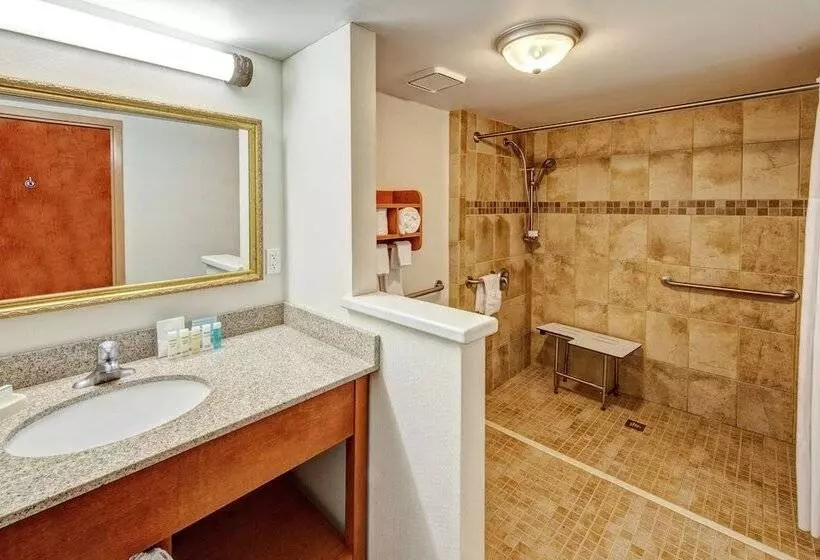 身障者適用スタンダードルーム, Hampton Inn Winchester