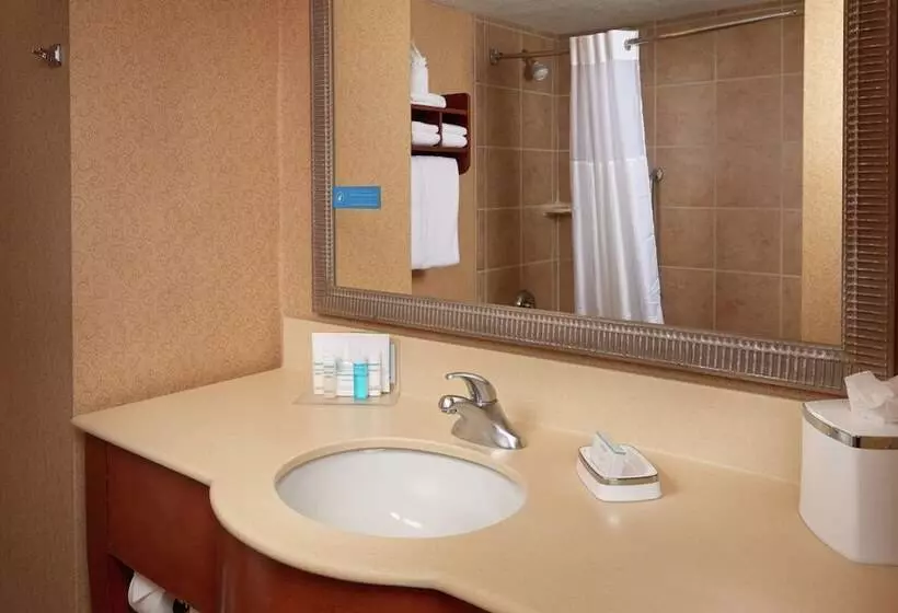 スタンダードルーム, Hampton Inn By Hilton Youngstown West I 80