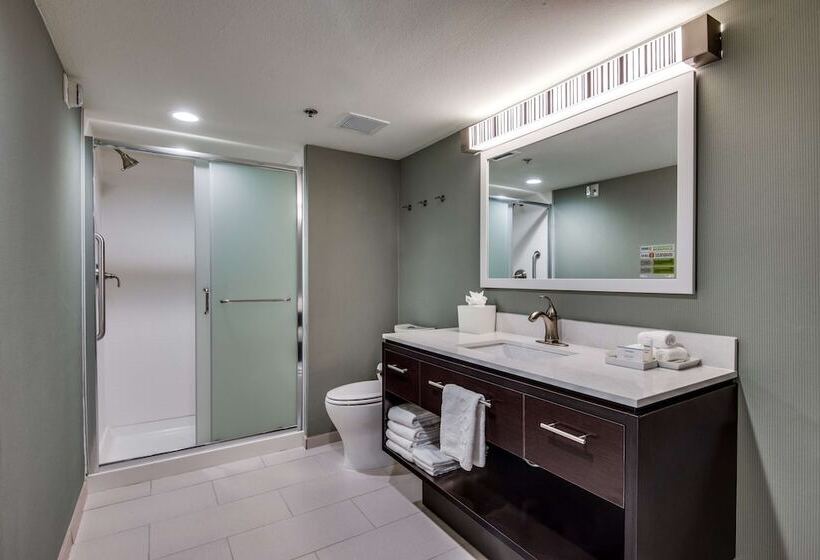 Люкс Адаптированный для Инвалидов, Home2 Suites By Hilton Dfw Airport South/irving, Tx