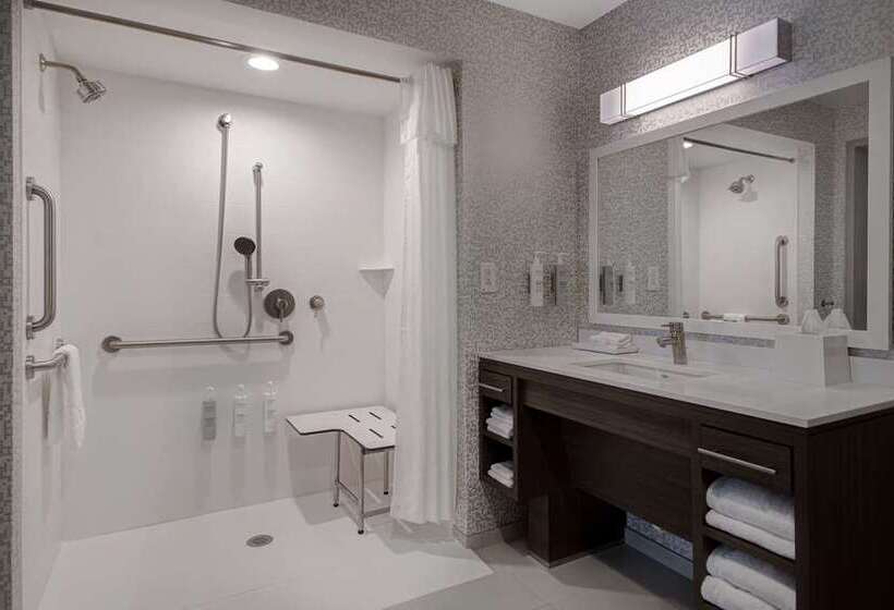 스위트, Home2 Suites By Hilton Dfw Airport South/irving, Tx