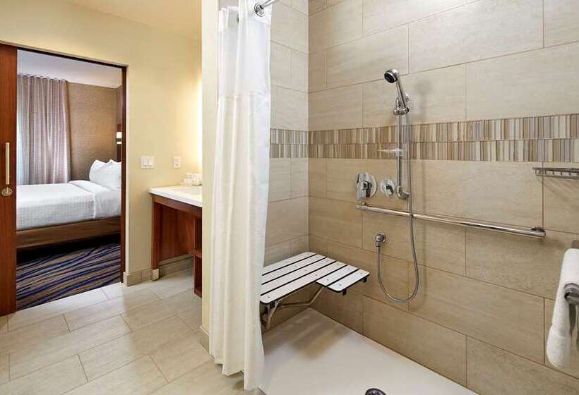 스탠다드 스튜디오, Home2 Suites By Hilton Dfw Airport South/irving, Tx