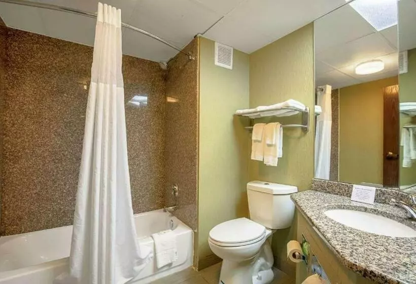 キングサイズベッドのスタンダードルーム, Quality Inn Holly Springs South