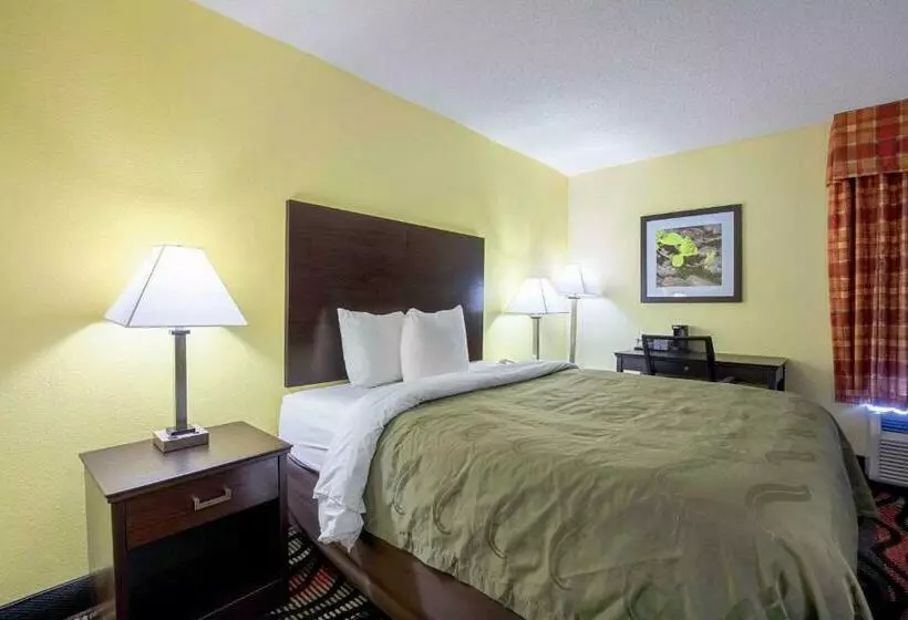 キングサイズベッドのスタンダードルーム, Quality Inn Holly Springs South