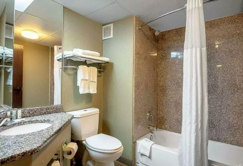 ２ダブルベッドのスタンダードルーム, Quality Inn Holly Springs South