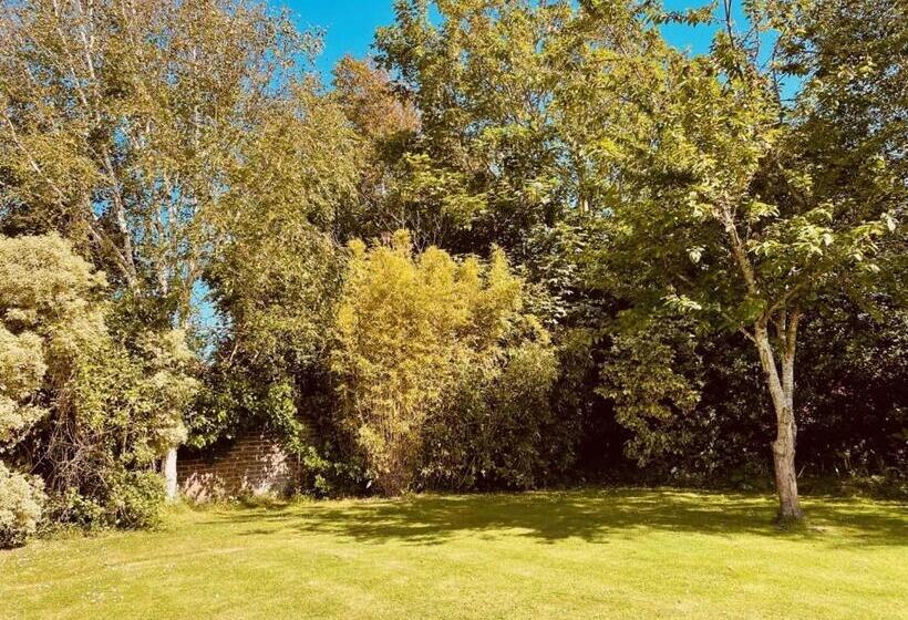 スイート（家族用）, The Coast House B&b And Spa