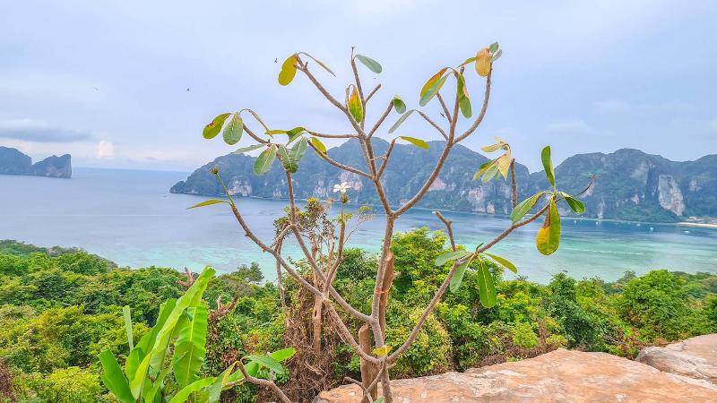 디럭스 룸 바다 전망, Phi Phi Mountain Beach Resort Sha Certified