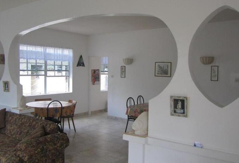 اتاق استاندارد, Dolphin Inn Guesthouse & Apartments