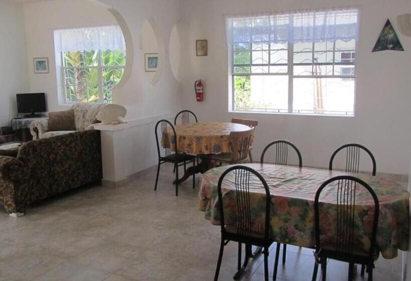 اتاق استاندارد, Dolphin Inn Guesthouse & Apartments