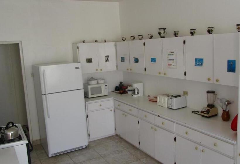 اتاق استاندارد, Dolphin Inn Guesthouse & Apartments