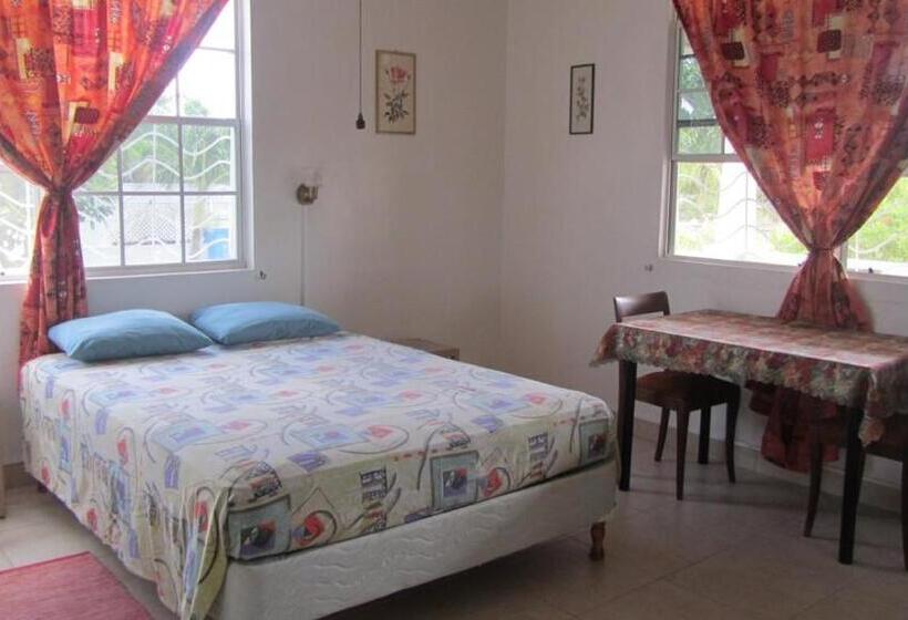 اتاق استاندارد, Dolphin Inn Guesthouse & Apartments