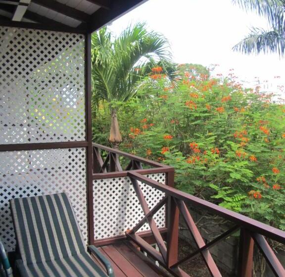 آپارتمان 1 خوابه, Dolphin Inn Guesthouse & Apartments