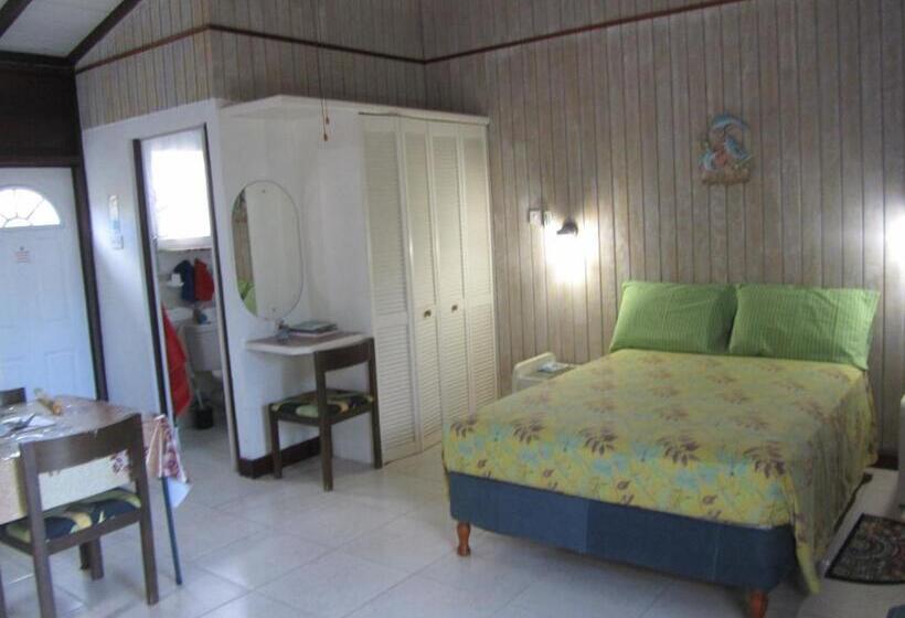 آپارتمان 1 خوابه, Dolphin Inn Guesthouse & Apartments