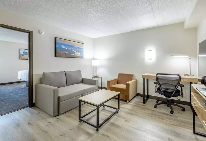 سوییت, Comfort Inn & Suites Chattanooga East Ridge