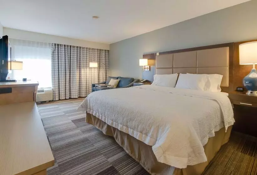 استودیوی استاندارد با تخت دوبل, Hampton Inn Bellevue / Nashvillei40 West