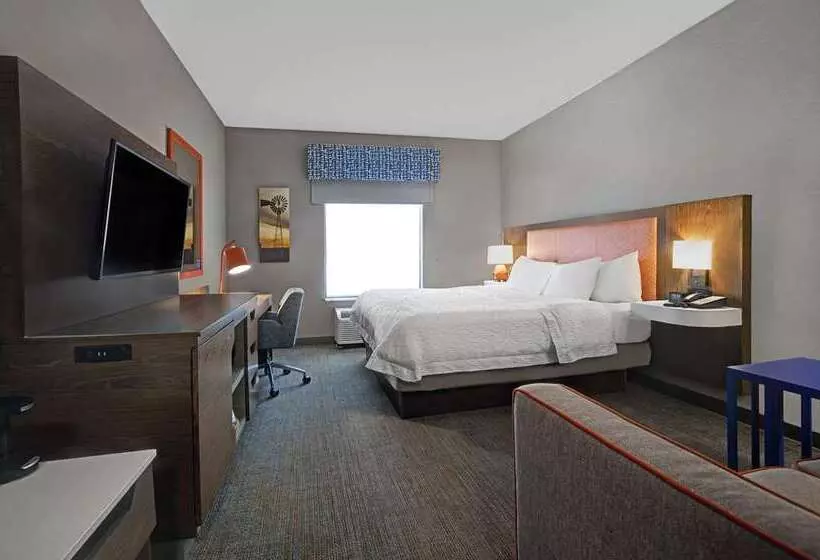اتاق استاندارد با تخت بزرگ, Hampton Inn Bellevue / Nashvillei40 West