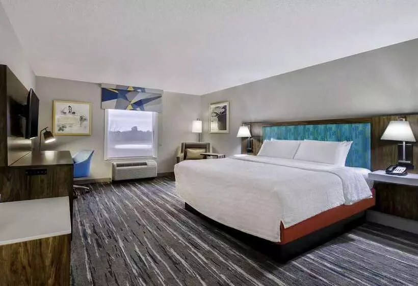 اتاق استاندارد با تخت بزرگ, Hampton Inn Bellevue / Nashvillei40 West