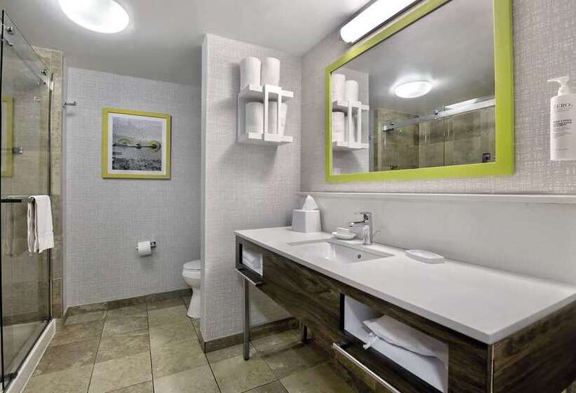 اتاق استاندارد با تخت بزرگ, Hampton Inn Bellevue / Nashvillei40 West