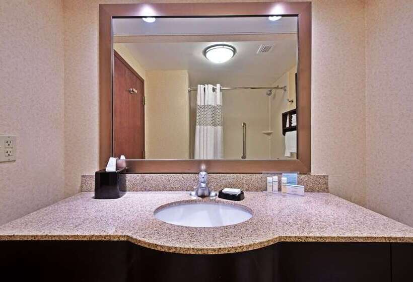 اتاق استاندارد با تخت بزرگ, Hampton Inn Bellevue / Nashvillei40 West